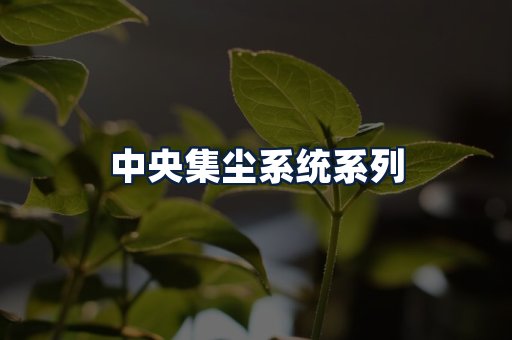 中央集尘系统
