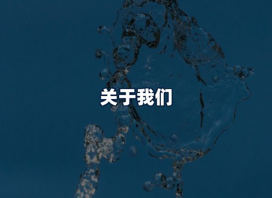 关于我们